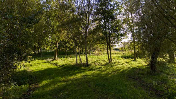 Medium property photo - Mosseldijk 15A, 4504 SH Nieuwvliet